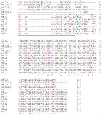 New insight into the biological activity of Salmo salar NK-lysin antimicrobial peptides